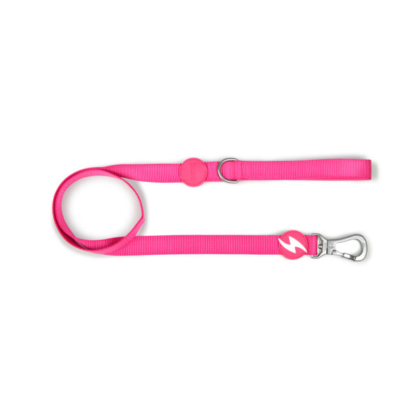 Leash Solid Pink