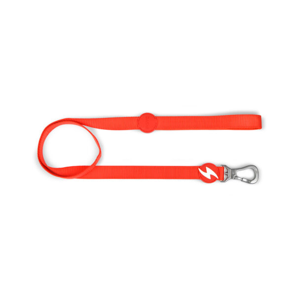 Leash Solid Red