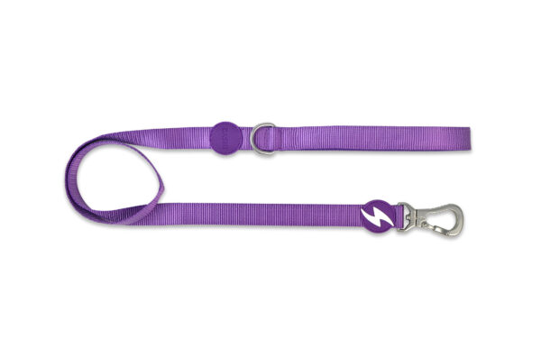 Solid Purple Leash