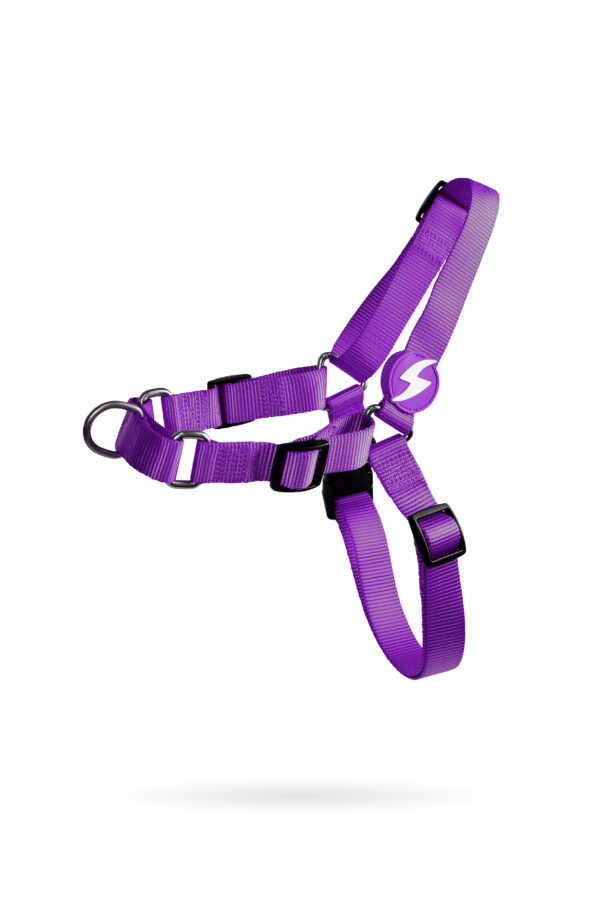Solid Purple Front Harness