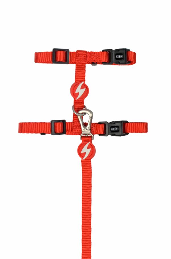 Cat Harness+Leash Solid Red