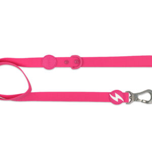 Colorflex Pink Leash