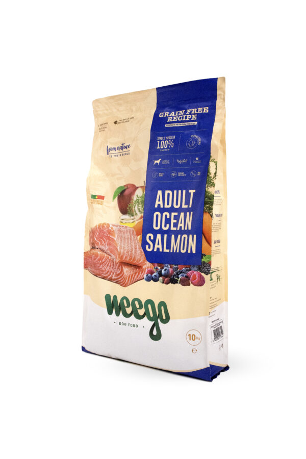 Adult Ocean Salmon 10K