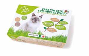 Hierba gato con fibra de coco