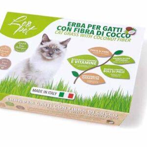Hierba gato con fibra de coco